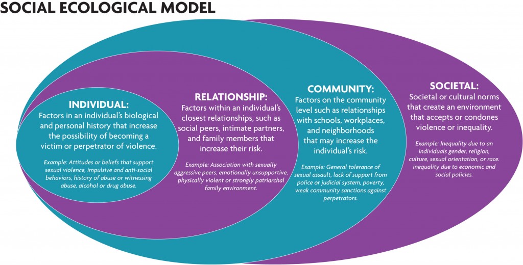 Social ecological model